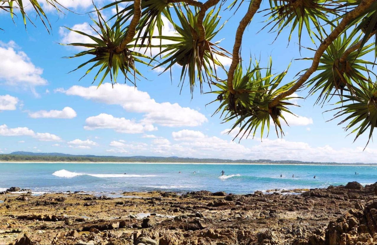 Arrawarra–Corindi Beach seen through pandanus, a small wave and a few surfers.