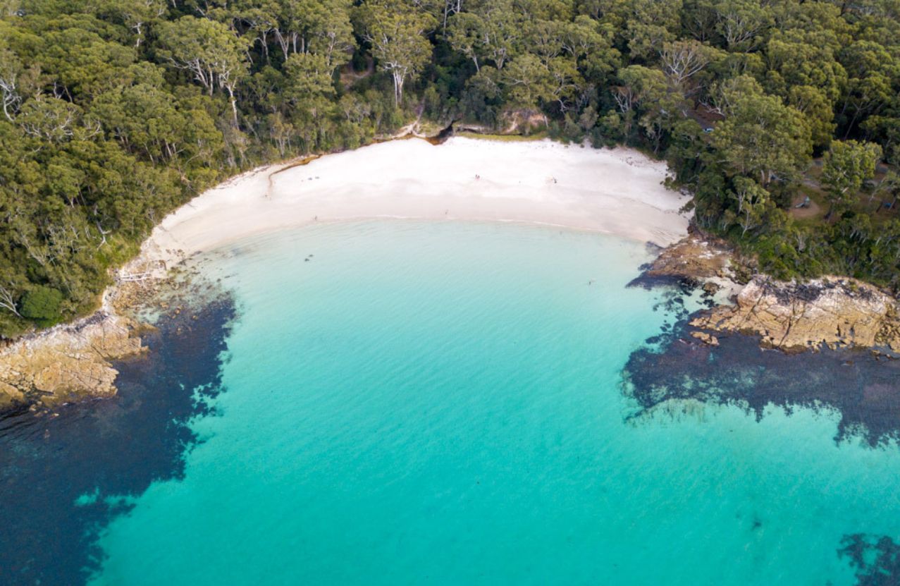 Blenheim Beach, a pocket of white sand held by spotted gum forest and turquoise water.