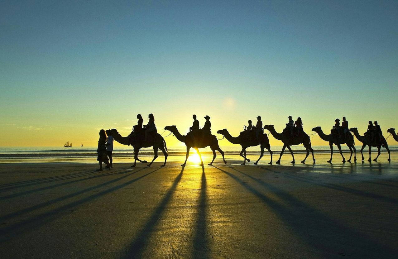 Camel train at Cable Beach, silhouettes and long shadows across the sunset sand.