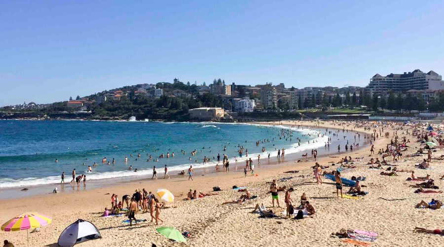 Coogee Beach on a bright day, umbrellas on the sand and people in the water along the bay.
