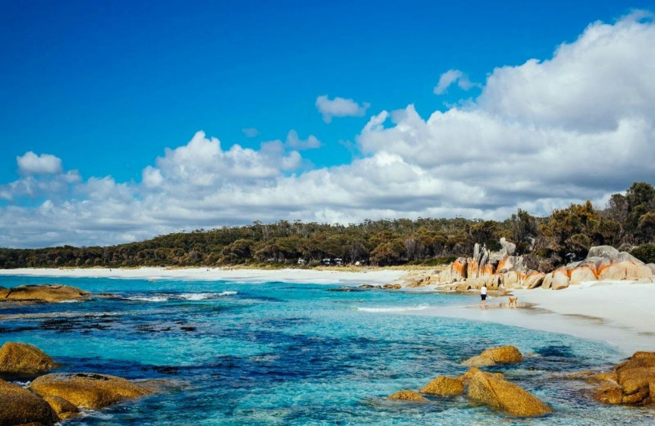 Bay of Fires, orange lichen on granite, white sand, and a person with a dog.