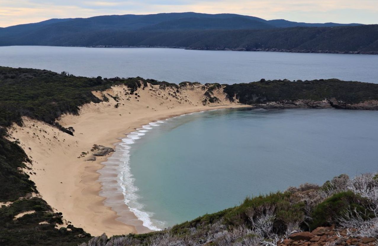 Crescent Bay from the dune rim, a hidden arc of sand between scrub-covered hills.